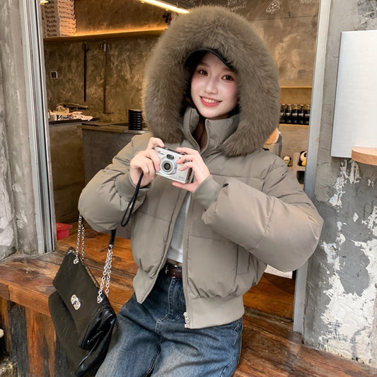 Petite Cotton-padded Coat