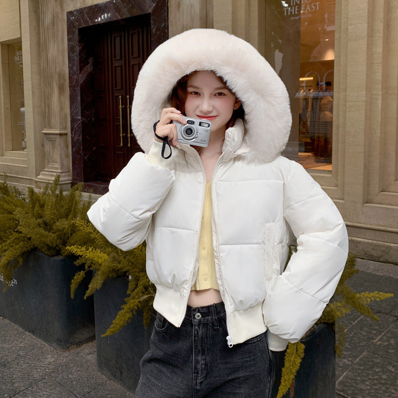 Petite Cotton-padded Coat